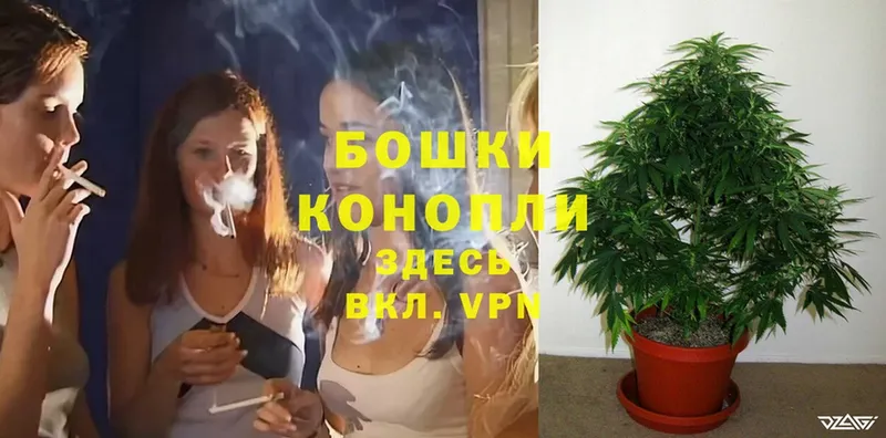 mega ссылка  Далматово  Марихуана OG Kush 